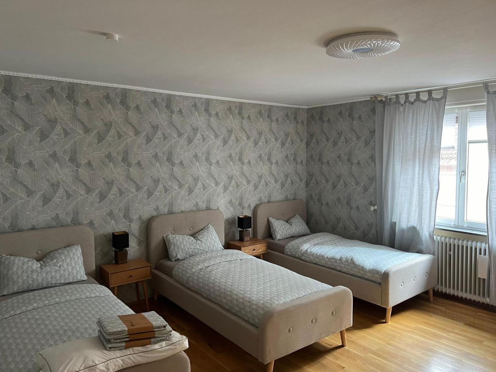 Albert-Schulte-Park Apartment- Worms Kültér fotó